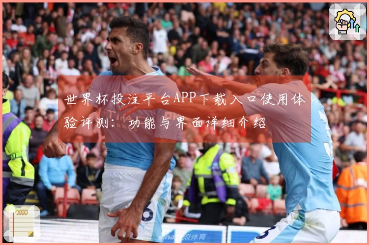世界杯投注平台APP下载入口使用体验评测：功能与界面详细介绍