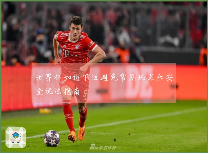 世界杯如何下注避免常见坑点和安全玩法指南