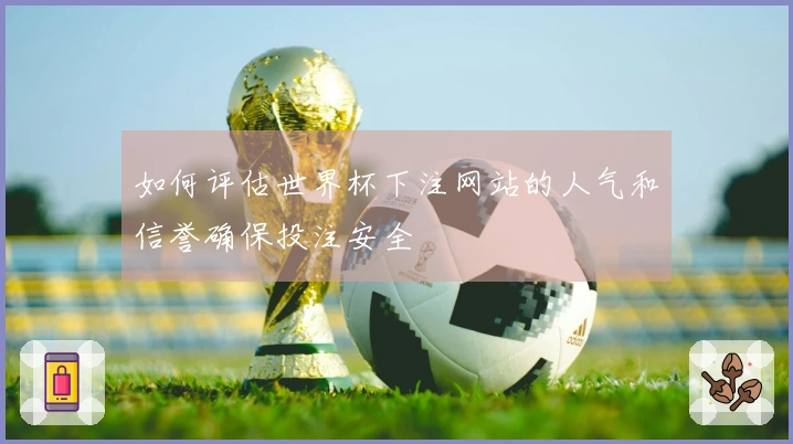 如何评估世界杯下注网站的人气和信誉确保投注安全
