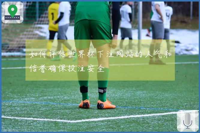 如何评估世界杯下注网站的人气和信誉确保投注安全