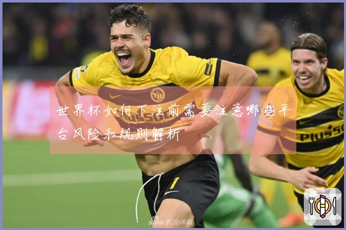 世界杯如何下注前需要注意哪些平台风险和规则解析
