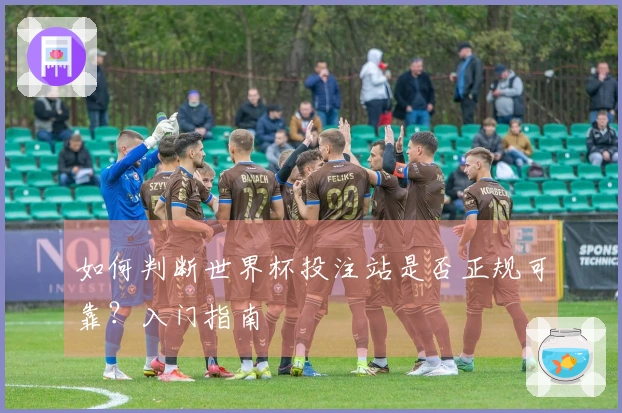 如何判断世界杯投注站是否正规可靠？入门指南