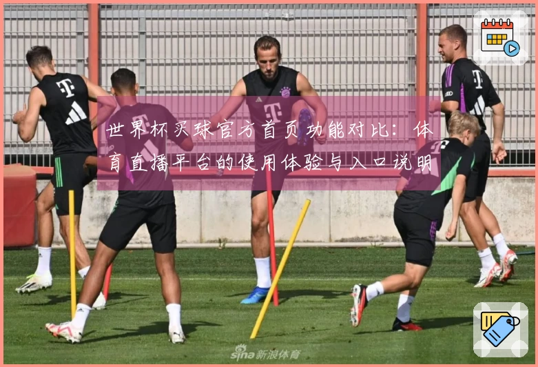 世界杯买球官方首页功能对比：体育直播平台的使用体验与入口说明