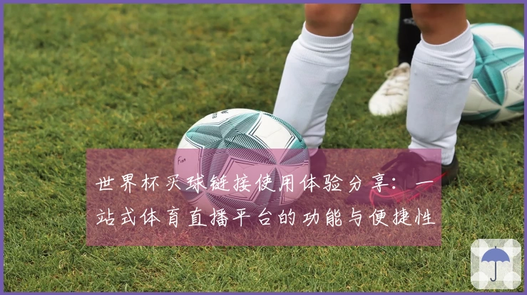 世界杯买球链接使用体验分享：一站式体育直播平台的功能与便捷性评测