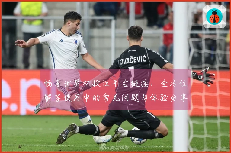 畅享世界杯投注平台链接，全方位解答使用中的常见问题与体验分享