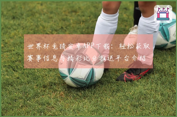 世界杯竞猜安卓APP下载：轻松获取赛事信息与精彩比分推送平台介绍