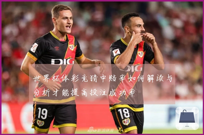 世界杯体彩竞猜中赔率如何解读与分析才能提高投注成功率