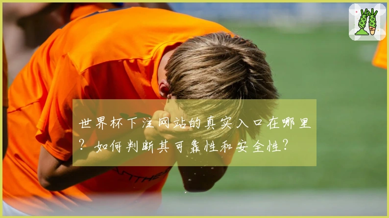 世界杯下注网站的真实入口在哪里？如何判断其可靠性和安全性？