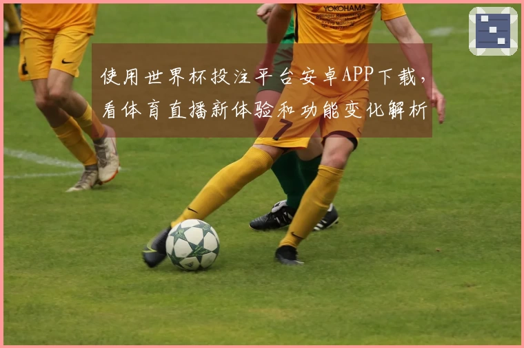 使用世界杯投注平台安卓APP下载，看体育直播新体验和功能变化解析