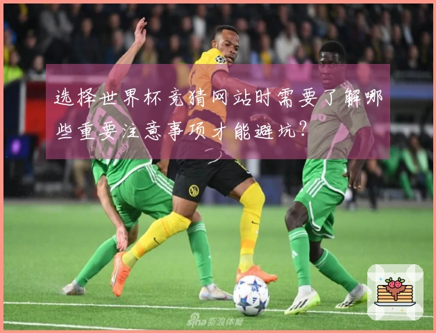 选择世界杯竞猜网站时需要了解哪些重要注意事项才能避坑？