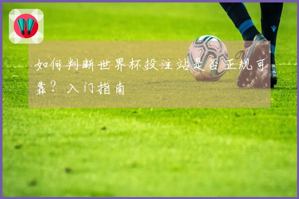 如何判断世界杯投注站是否正规可靠？入门指南