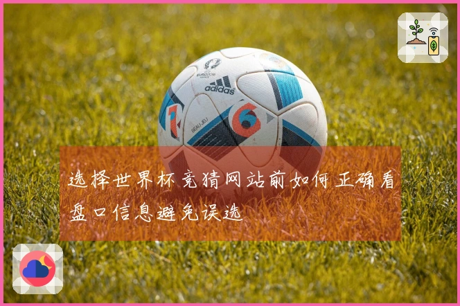 选择世界杯竞猜网站前如何正确看盘口信息避免误选